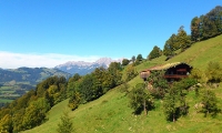 Fotos aus der Umgebung_10